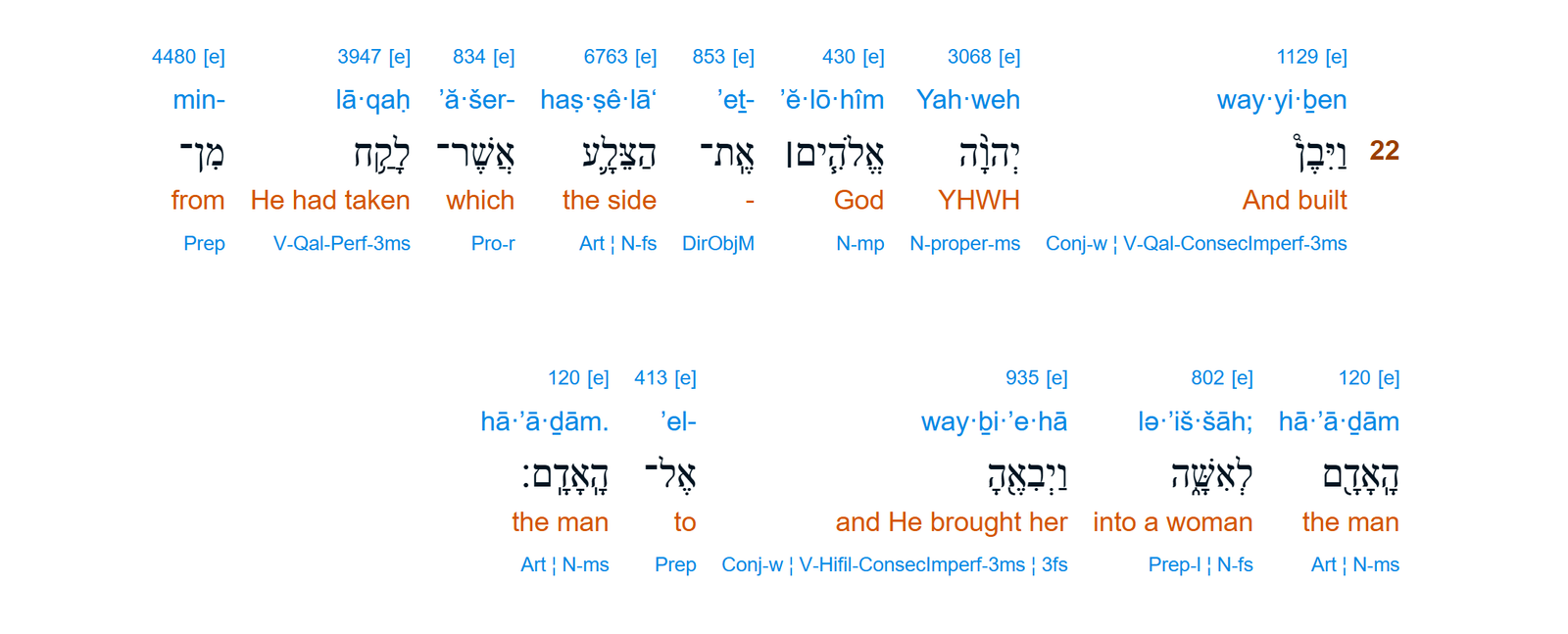 Interlinear - Genesis 2:22